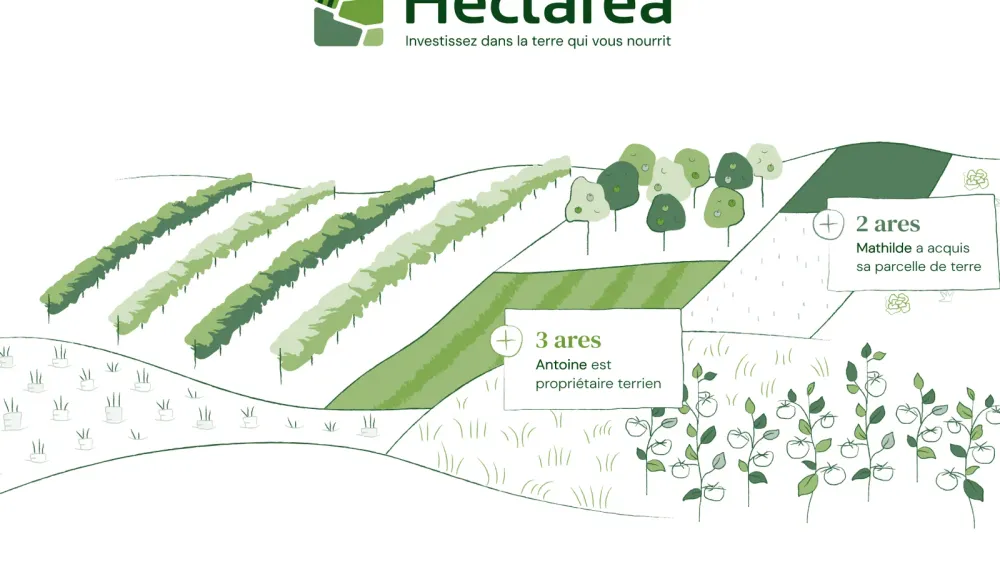 Illustration d'un paysage agricole avec des vignes, des arbres fruitiers et des cultures maraîchères, représentant l'investissement dans la terre.