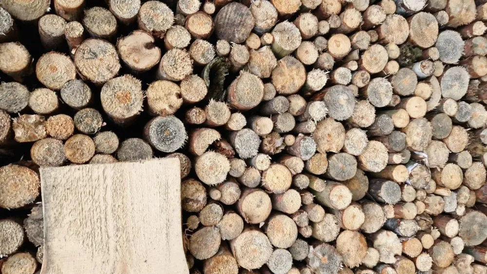 Pile de bois de chauffage coupé, montrant la diversité des tailles et des textures du bois.