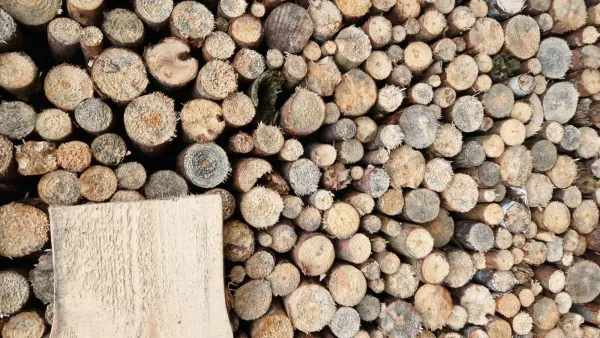 Pile de bois de chauffage coupé, montrant la diversité des tailles et des textures du bois.